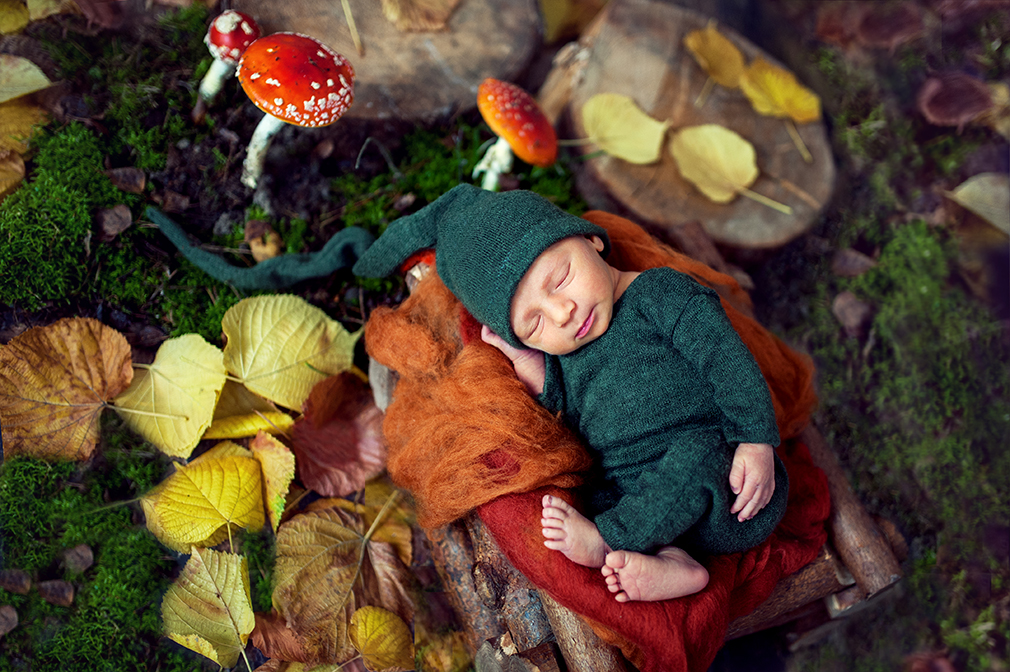 jesień, grzybobranie, sesja noworodkowa w lesie. muchomor, kolory jesienne na sesji newborn, czarny kot studio